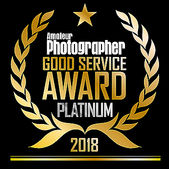 Platinum Service Award 2017